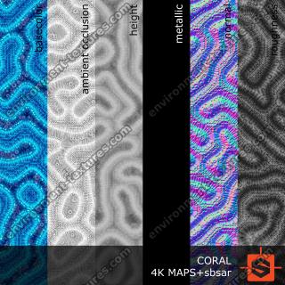 PBR Texture of Coral